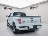 Used 2013 Ford F150 STX w/ Mid Equipment Group image 5