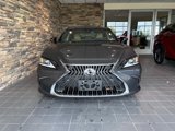Used 2022 Lexus ES 350 w/ Premium Package image 3