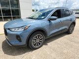 Used 2024 Ford Escape SE image 4