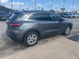 Used 2023 Ford Escape Active w/ Cold Weather Package image 3