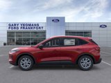 New 2025 Ford Escape Active image 3