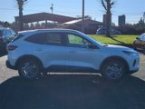 New 2025 Ford Escape ST-Line w/ Tech Pack #1 image 6