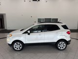 Used 2019 Ford EcoSport SE image 4