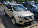 Used 2017 Ford Escape SE image 5