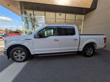 Used 2020 Ford F150 XLT w/ Equipment Group 302A Luxury image 2