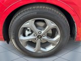New 2024 Ford Escape ST-Line w/ Tech Pack #1 image 5