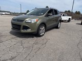 Used 2014 Ford Escape Titanium image 3