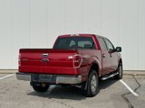 Used 2009 Ford F150 XLT image 5