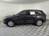 Used 2023 Ford Escape Active w/ Tech Pack #1 image 5