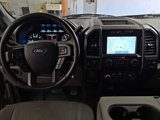 Used 2020 Ford F150 XLT w/ Equipment Group 302A Luxury image 2