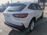 New 2025 Ford Escape Active w/ Tech Pack #1 image 5