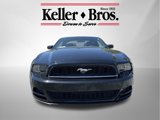 Used 2014 Ford Mustang Coupe w/ Equipment Group 102A image 2