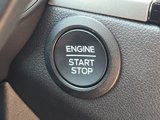 New 2025 Ford Escape Active w/ Cold Weather Package image 6