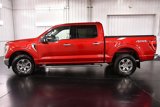 Used 2021 Ford F150 XLT w/ Equipment Group 302A High image 4
