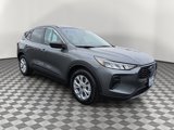 Used 2024 Ford Escape Active image 2
