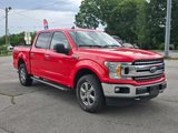 Used 2019 Ford F150 XLT w/ Equipment Group 302A Luxury image 2