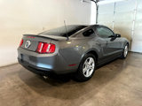 Used 2011 Ford Mustang Coupe w/ 101A Rapid Spec Order Code image 6