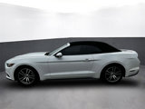 Used 2015 Ford Mustang Premium image 2