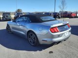 Certified 2022 Ford Mustang Premium image 5
