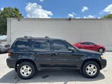 Used 2007 Ford Escape Limited image 5