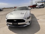 Used 2019 Ford Mustang Coupe w/ Wheel & Stripe Package image 6