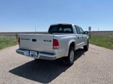 Used 2002 Dodge Dakota SLT image 5