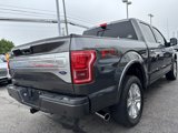 Used 2017 Ford F150 Platinum w/ Equipment Group 701A Luxury image 4