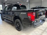 Used 2024 Ford F150 STX image 5