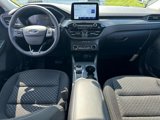 New 2025 Ford Escape Active w/ Cold Weather Package image 5