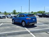 Used 2020 Ford Escape SE image 5