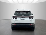 Used 2022 Hyundai Tucson SEL w/ Cargo Package image 6