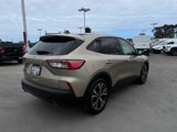 Certified 2021 Ford Escape SE w/ SE Sport Appearance Package image 5