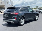 Used 2022 Ford Escape SE w/ Convenience Package image 4