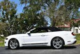 Used 2020 Ford Mustang Premium w/ Equipment Group 201A image 4