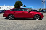 Certified 2024 Honda Accord EX image 4
