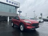 Used 2022 Ford Escape SE w/ Convenience Package image 3