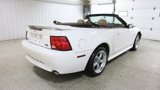 Used 2003 Ford Mustang GT Premium image 6