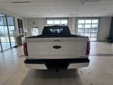 Certified 2023 Ford F150 XLT image 4