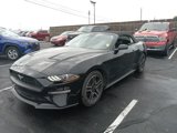 Used 2023 Ford Mustang Premium image 4