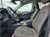 Used 2022 Ford Escape SE w/ SE Sport Appearance Package image 4