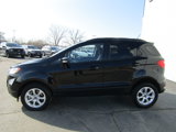 Used 2020 Ford EcoSport SE image 2