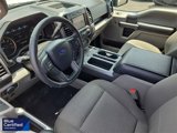 Certified 2020 Ford F150 XLT w/ Equipment Group 302A Luxury image 3