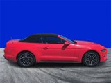 Certified 2022 Ford Mustang Premium image 2