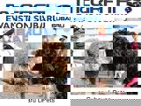 Used 2020 Ford Escape SEL image 5