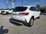 Used 2022 Ford Escape SE image 3