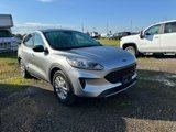 Used 2022 Ford Escape SE image 3