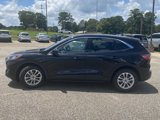 Used 2021 Ford Escape SE image 4