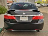 Used 2013 Honda Accord EX-L image 3