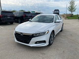 Used 2020 Honda Accord EX image 2