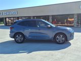 Used 2024 Ford Escape ST-Line image 4